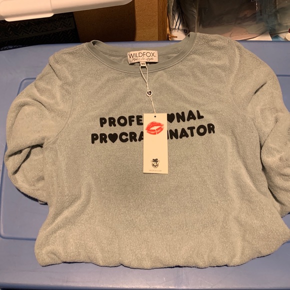 WILDFOX Procrastinator Terry Slogan Sweatshirt - Picture 4 of 5